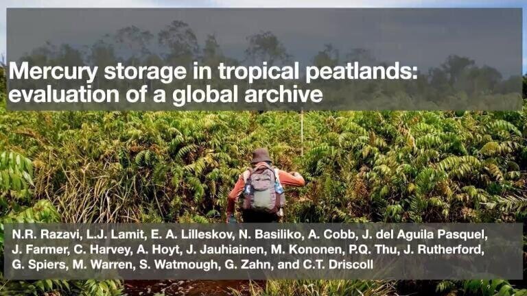 Mercury Storage in Tropical Peatlands: Evaluation of a Global Archive
